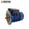 3HP Simple Single Phase Induction Motors / Variable Speed Electric Motor