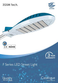110 lm/w IP65 High Power LED Road Light 100 Watt With Plastic Lens